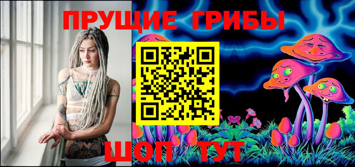Ярцево  Псилоцибиновые грибы MAGIC MUSHROOMS  Вход с VPN 