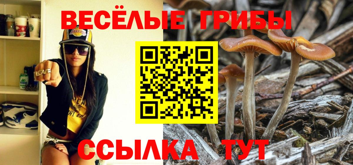 Псилоцибиновые грибы MAGIC MUSHROOMS Ярцево